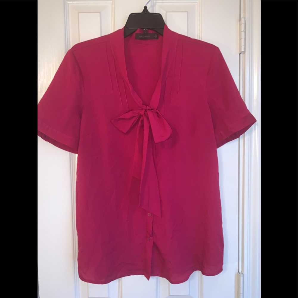 The Limited Blouse
